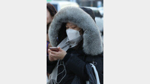 2018년 날씨, 더위·추위 모두 심했다…“피해 컸던 한 해”