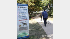 목줄 안한 개 신고했더니…“견주 신상정보 알아오세요”