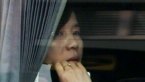 주북 러시아 대사, 최선희 부상 면담…“비핵화 전략 논의”