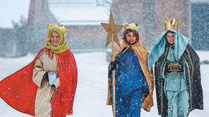 [고양이 눈]눈의 마법