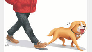 ‘목줄 풀린 개’ 단속법 있으나 마나