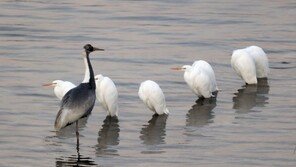 10일 아침 -5도 내외 ‘평년 회복’…미세먼지도 양호