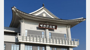 경찰, ‘가이드 폭행’ 예천군의원에 상해죄 적용 검토