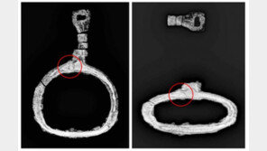 이제껏 본적 없는 새 형태의 금관가야 토기·등자 출토