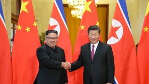북미회담 앞두고 만난 김정은-시진핑, 윈윈 카드인가