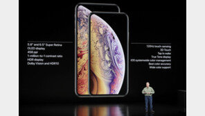 애플, 1분기 아이폰10 생산량 10% 정도 감산