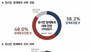 범진보·與 지지층 54% “유시민 정계복귀 안할 것” …59% “하면 지지”