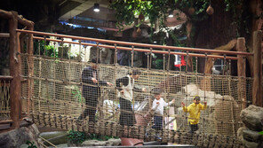 한화아쿠아플라넷 일산 “진짜 정글을 보여주마”