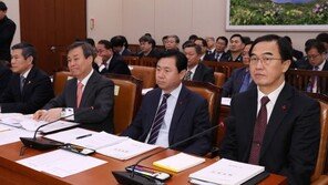 조명균 “김정은 방중 사전교감”-정경두 “대남도발 완벽 경계”