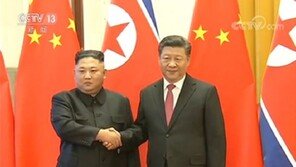 [속보] 北中정상 “한반도문제 해결노력…북미회담 기대”
