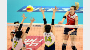 [스토리 발리볼] 인삼공사의 9연패와 드라이버 없는 골프