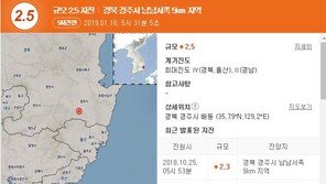 경주서 규모 2.5 지진…당국 “피해신고 無” VS 시민 “땅 흔들, 공포”