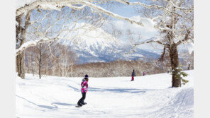 이용자들이 추천한 가성비 높은 해외 스키여행지 6선