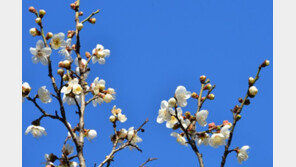 [날씨] 18일만에 전국 한파특보 모두 해제…건조한 날씨는 계속