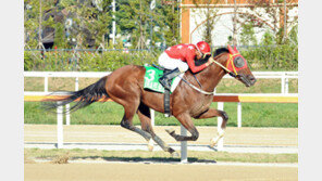 1800m 경주 신기록 인센티브 노려라