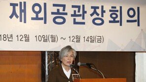 강경화, ‘김정남 암살’ 관련 발언 김도현 베트남 대사 경고