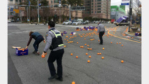 도로에 오렌지 20여박스 쏟아져…순찰차 7대 출동해 15분 만에 수습