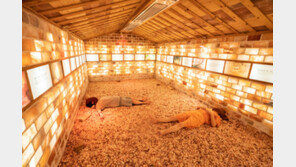 “어, 서울 한복판에 유황온천 있었어?” 서울서 즐기는 온천투어