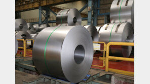 인도 정부, 포스코·현대제철에 합작 회사 설립 제안