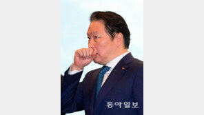 SK 최태원 회장·동거인에 '허위 악성댓글' 단 60대女 징역형