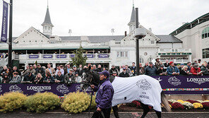 케이닉스 선발마, 미국 경마 시상식 오른다