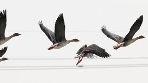 ‘서울 6도’ 전국 낮 영상권…“미세먼지 주의”