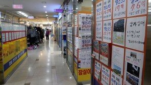 부동산 공인중개소는 제2의 치킨집?…거래절벽에도 생계형창업 늘어