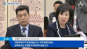 ‘전명규 구속’ 주장 손혜원 “전명규 이번에도 놔주면 거리로 나설 것”