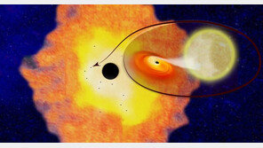역사상 첫 ‘블랙홀 사진’ 나오나…EHT 관측결과 3월 공개 전망