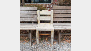 [고양이 눈]“나 없으면 어쩔 뻔”