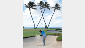 그림 속으로의 탈출