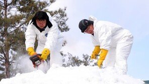 “눈 좀 내려 주소”…태백산 눈축제 눈 안 내려 ‘걱정 태산’