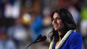 가바드 美하원의원, 2020년 대선 출사표…민주서 2번째