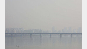 13일 서울 미세먼지 비상저감조치…경기·인천도 시행