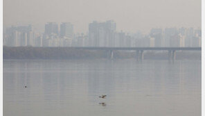 고농도 미세먼지 대응…13일 충남·경기 화력발전 80% 제한