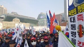 주말 서울 도심 곳곳서 집회…태극기 집회 1만명 모여