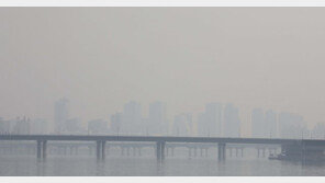 ‘미세먼지 공포’ 나들이 주춤…고속도로 비교적 원활