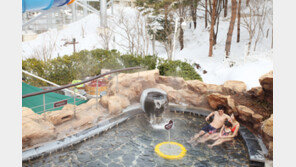 한화리조트, 모바일 고객용 ‘얼리버드 특가 프로모션’