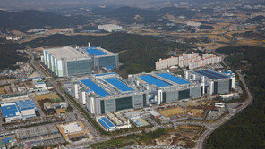 시골 포도밭의 놀라운 변화…아산 주민과 함께 크는 삼성디스플레이