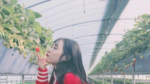 [#해시태그 컷] 딸기 같은 설리