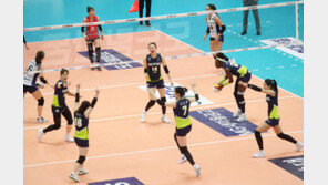 확 달라진 현대건설, 시즌 첫 3연승 환호