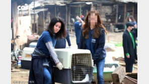 ‘케어’ 박소연 대표 안락사 논란, 변호사 “사기·업무상 횡령 적용 가능”