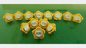 ‘황제 연수’ ‘3개월 만에 또 연수’…구설수 오른 지방의회