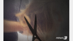 “내 머리카락 돌려놔”…버스서 잠든사이 ‘싹둑’