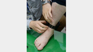 전자발찌 추적장치 버리고 도주 50대 11시간만에 검거