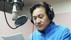 안성기, 한국 역사와 문화 알리미 자처