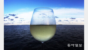 “한파에 적응한 효모가 당을 먹고 방귀 뀌면…술이 익어간다”