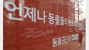 “동물단체 ‘빈곤 포르노’ 멈추고 후원금 내역 공개하라”