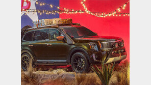 “투박함이 매력”… 기아차 텔루라이드, 미국인 마음 사로잡을까