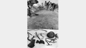 “시체 타는 냄새가 밤새…” 제암리 학살사건의 충격